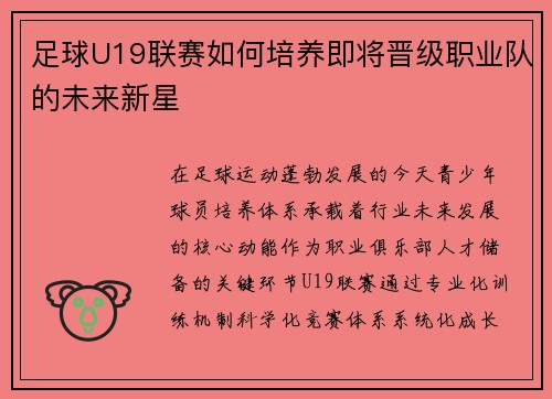 足球U19联赛如何培养即将晋级职业队的未来新星